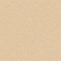 Brown paper texture for background. Vector. vector