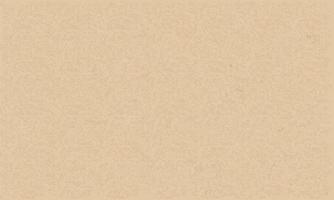 Brown paper texture for background. Vector. vector