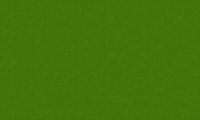 Green grass texture for background. Vector.