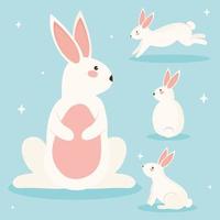 four beauty rabbits vector