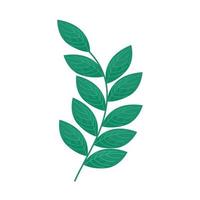 branch green color vector