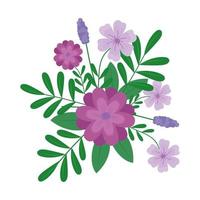 beautiful floral decoration with purple flowers vector