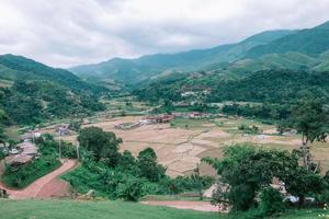 Beautiful  view of rice paddy field in Sapan village photo