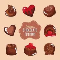 eight chocolates premium vector