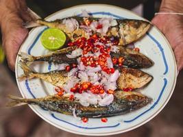 Thai traditional food Spicy fried Mackerels photo