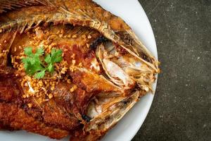 Fried Sea Bass Fish with Garlic photo