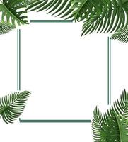 Square frame with tropical green leaves vector