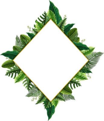 Rotated square frame with tropical green leaves