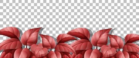 Red nature leaves frame background vector