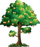 Árbol frutal de naranja en estilo de dibujos animados aislado sobre fondo blanco. vector