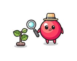 cute cranberry herbalist researching a plants vector