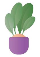 Isolated plant inside pot vector design