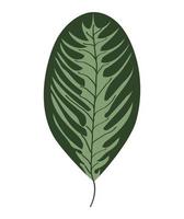 icono de hoja de jardín vector