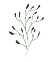 forest plant design vector