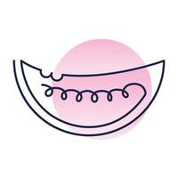 fresh watermelon fruit, one line style vector