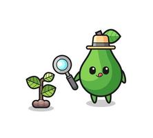 cute avocado herbalist researching a plants vector