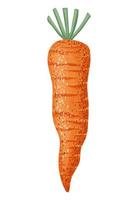 orange carrot illustration vector