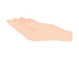 human hand illustration vector