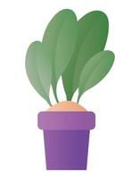 Isolated plant inside pot vector design