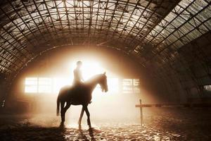 Majestic image of horse horse silhouette with rider on sunset background. The girl jockey on the back of a stallion rides in a hangar on a farm and jumps over the crossbar. The concept of riding photo