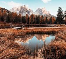 Pure nature. Amazing view of majestic mountains with woods in front of them at autumn day. Puddle that goes from the lake with little bridge in the center photo