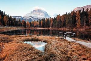 Calm and beauty. Amazing view of majestic mountains with woods in front of them at autumn day. Puddle that goes from the lake with little bridge in the center photo