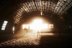 Majestic image of horse horse silhouette with rider on sunset background. The girl jockey on the back of a stallion rides in a hangar on a farm and jumps over the crossbar. The concept of riding photo