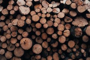 Horizontal format photo. Close up view of the front of many logs prepared for the winter. Nature background photo