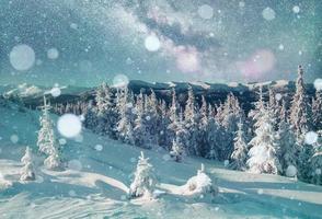 Colorful winter landscape. Majestic Carpathian forest. Outstanding nature photo
