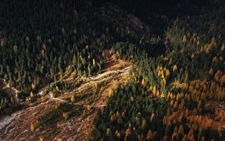 View from the top at mountain with trees partially lit by the sun photo