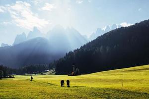 Perfect green grass. Awesome landscape. Farm with beautiful cows and chapel near the forest. Majestic mountains at background photo