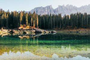Green surface under the water. Autumn landscape with clear lake, fir forest and majestic mountains