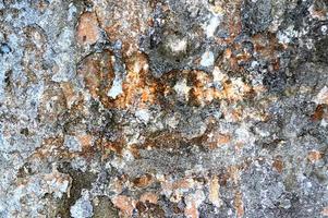 Concrete grey wall with old cracked paint. Black, grey, white and beige colors. Abstract photo background. Urban style texture. Building exterior. Cement unique and attractive textures