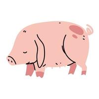 farm pig animal vector