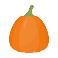 calabaza de color naranja con tallo vector