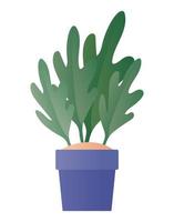 Isolated plant inside pot vector design