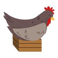 gallina encima de una canasta vector