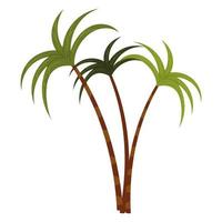 tropical tree palms vector