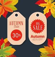 autumn sale tags design vector