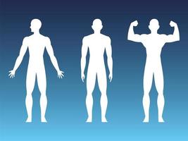 healthy human body strong vector