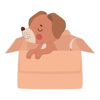 puppy in a box vector