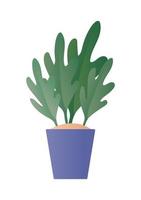 Isolated plant inside pot vector design