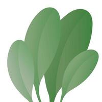 Isolated green leaves vector design