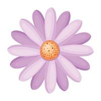 Isolated purple flower vector design