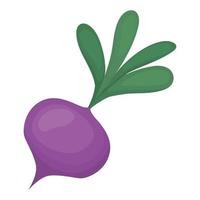 purple betroot design vector