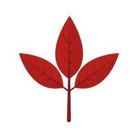 autumn leaf icon vector design