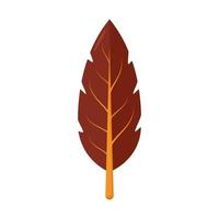 autumn leaf icon vector design