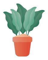 Isolated plant inside pot vector design