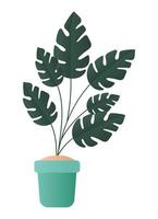 Isolated plant inside pot vector design