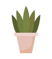 plant on pot vector